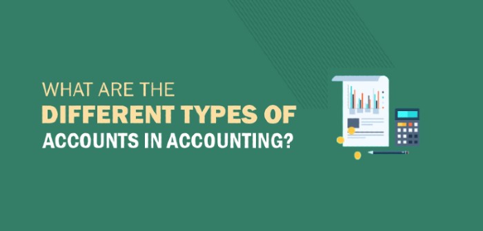 What Are The Different Types Of Accounts In Accounting?